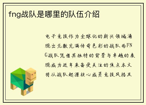fng战队是哪里的队伍介绍